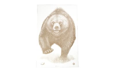 Action TGT AK State PARK BEAR 100PK