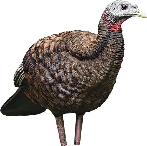 Avian-X LCD - Breeder Hen Turkey Decoy