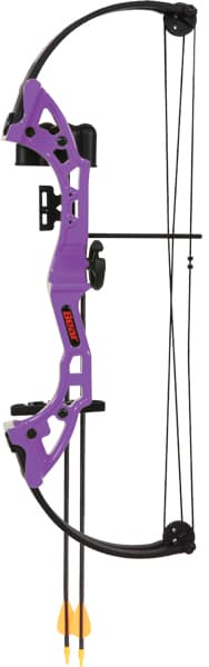 Bear Archery Compound Youth Bow Brave 25LB Right Hand Purple