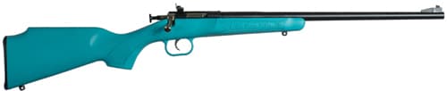 Crickett Blue Synthetic Stock Rifle .22LR Single Shot 16.125" Blued Barrel
