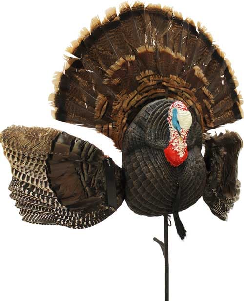 MOJO Scoot N Shoot MAX Turkey - Decoy